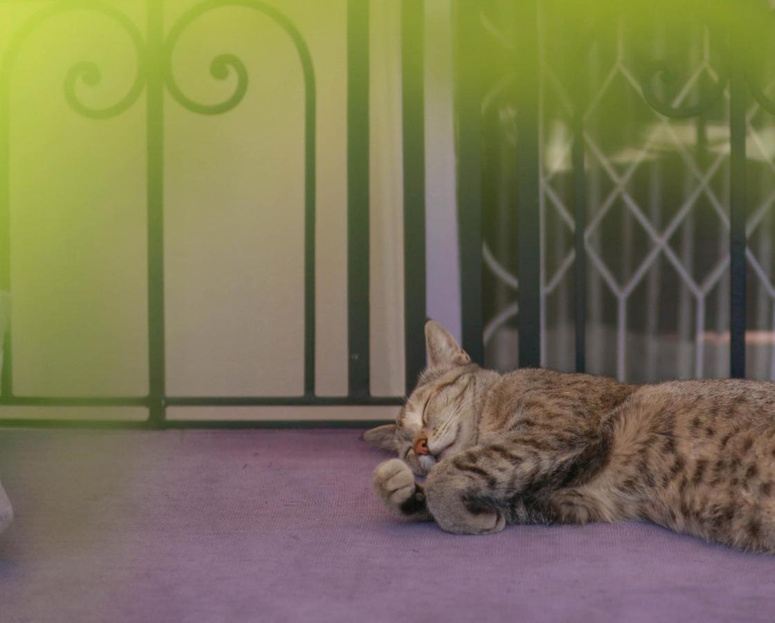 Kibu Home กาฐมาณฑุ ภายนอก รูปภาพ
